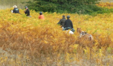 Passeggiate a cavallo