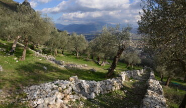 Ente Parco Regionale dell’Olivo di Venafro
