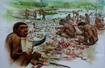 Museo del Paleolitico di Isernia