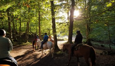 Passeggiate a cavallo