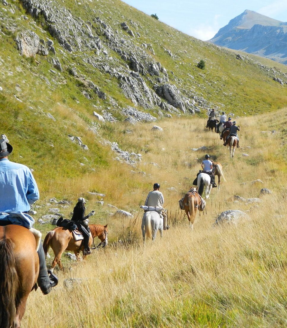 Passeggiate a cavallo