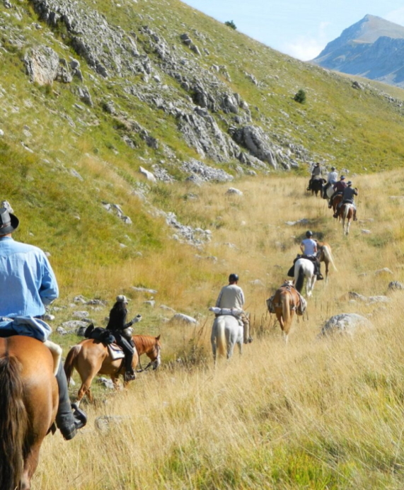Passeggiate a cavallo