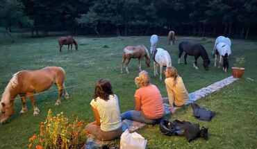 Passeggiate a cavallo