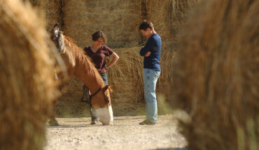 Passeggiate a cavallo
