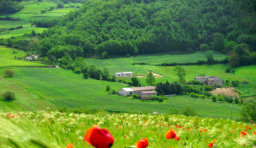 Il Bosco Mazzocca di Riccia