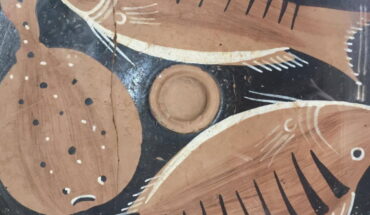 Museo Civico “Giuseppe Barone”