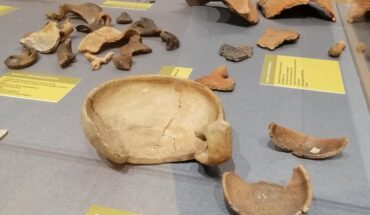 Museo Nazionale del Paleolitico