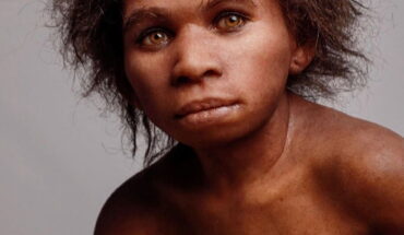 Museo Nazionale del Paleolitico