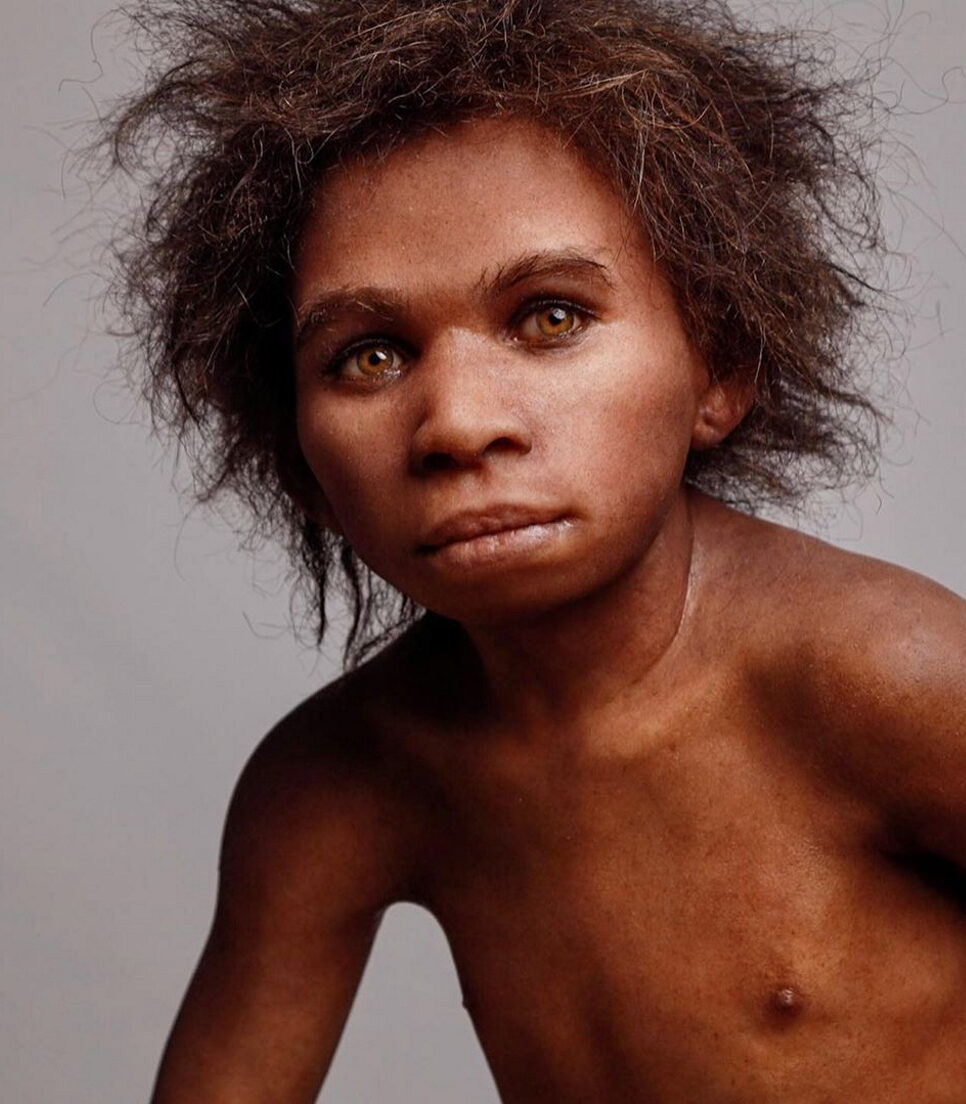 Museo Nazionale del Paleolitico