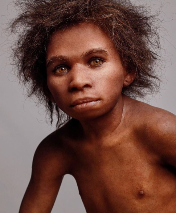 Museo Nazionale del Paleolitico