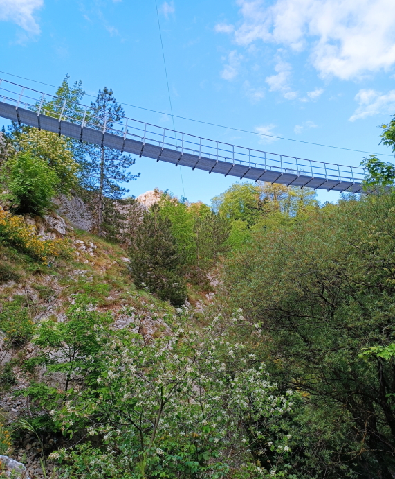 Ponte Tibetano