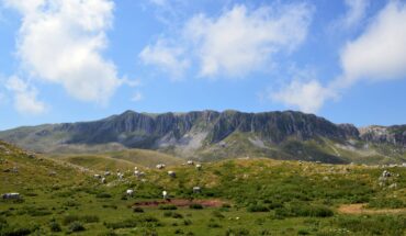Escursioni in motoslitta e quad
