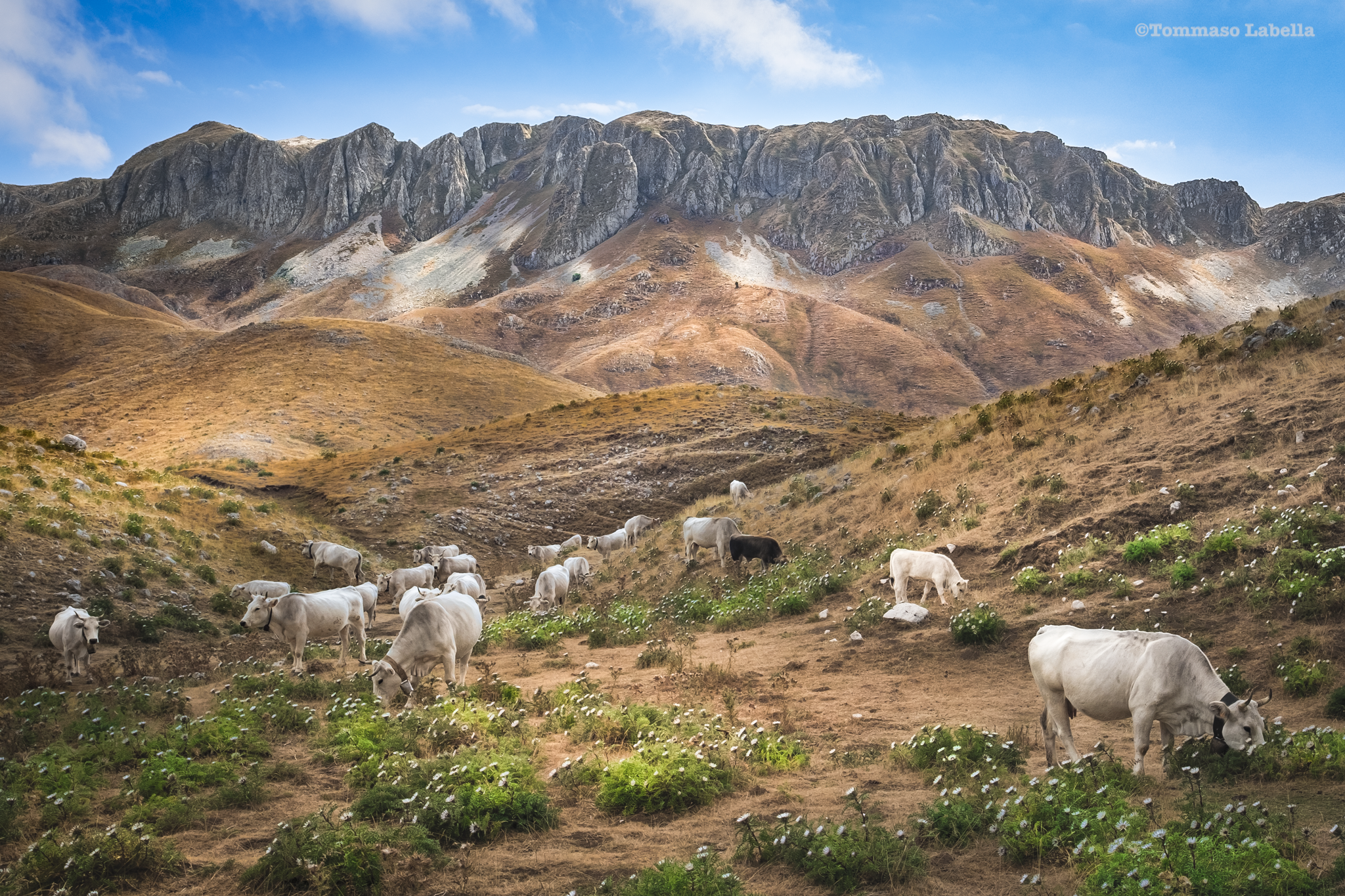 Riserva Naturale La Faggetta - Campitello Matese