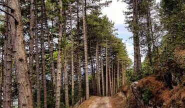 Riserva Naturale Orientata di Pesche