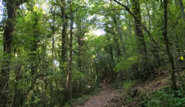 Riserva Naturale Regionale Bosco Casale – Oasi LIPU