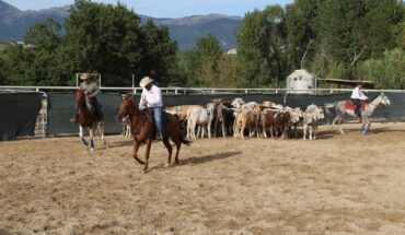 Passeggiate a cavallo/Ippoterapia
