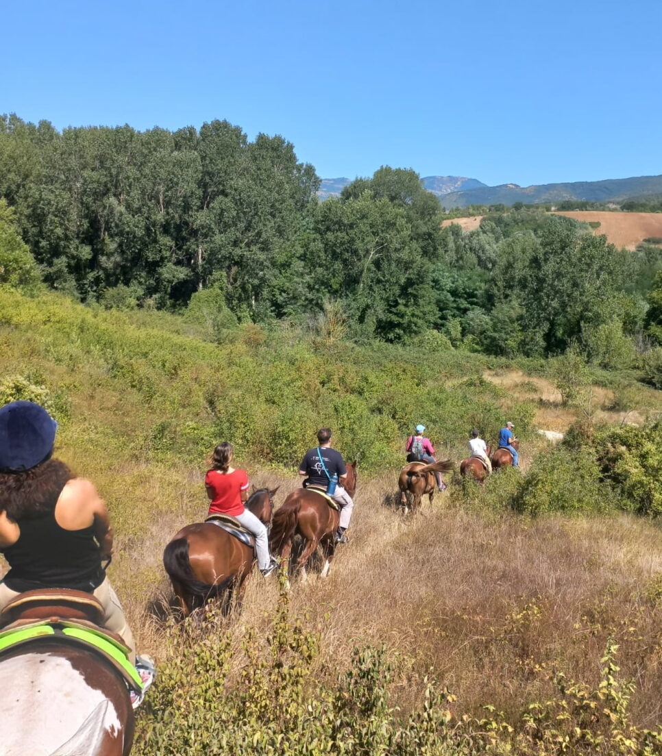 Passeggiate a cavallo/Ippoterapia