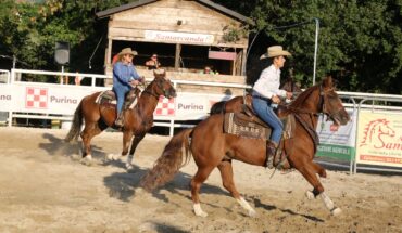 Passeggiate a cavallo/Ippoterapia