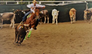 Passeggiate a cavallo/Ippoterapia