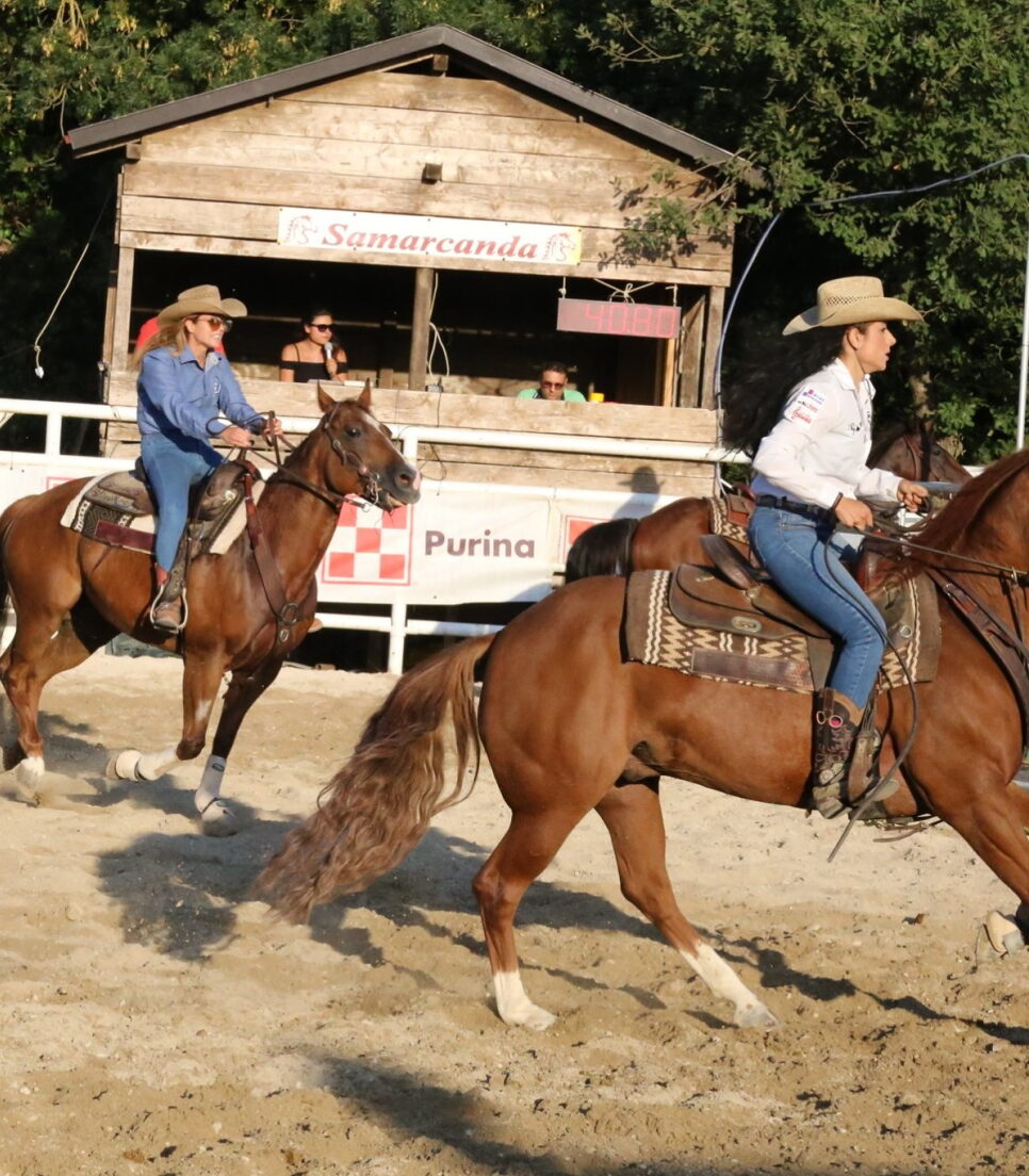 Passeggiate a cavallo/Ippoterapia