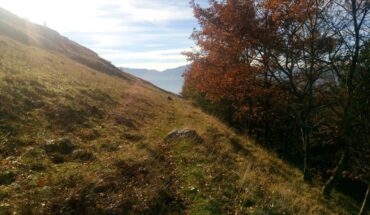 Trekking e Mountain Bike sul Matese