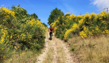 Escursioni e noleggio E-Bike Pesche