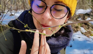 Forest Bathing in riserva