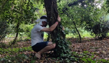 Forest Bathing in riserva