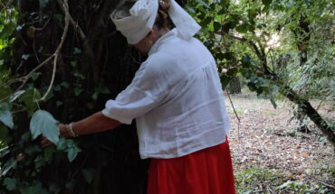 Forest Bathing in riserva