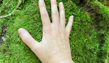 Forest Bathing in riserva