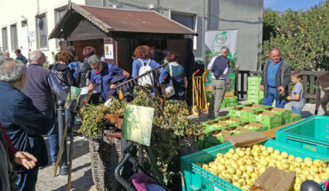 Festa della Mela a Castel del Giudice