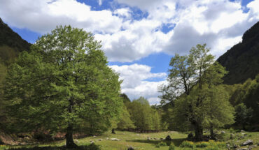 Parco Nazionale d’Abruzzo, Lazio e Molise