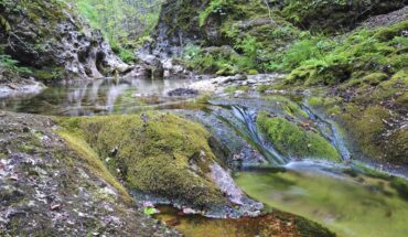 Parco Nazionale d’Abruzzo, Lazio e Molise