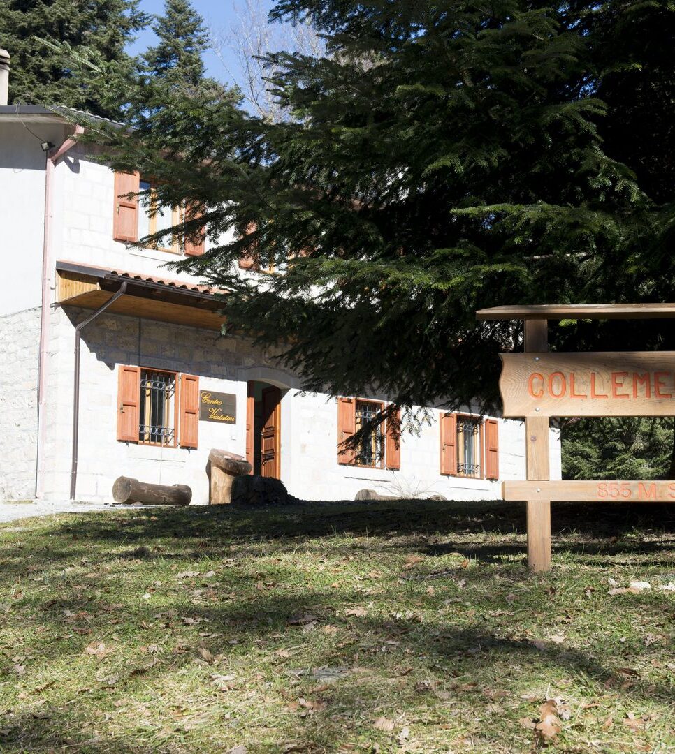 Riserva Naturale di Collemeluccio