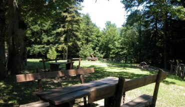 Riserva Naturale di Collemeluccio