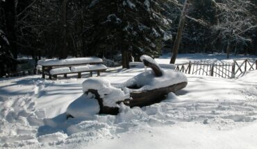 Riserva Naturale di Collemeluccio