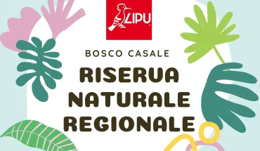 Regional Nature Reserve Bosco Casale – LIPU Oasis