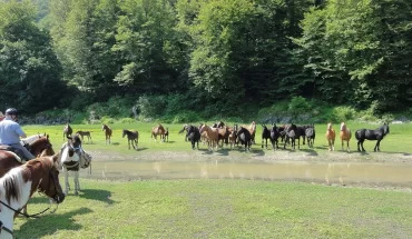 Horseback Riding