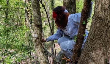 Forest Bathing in riserva