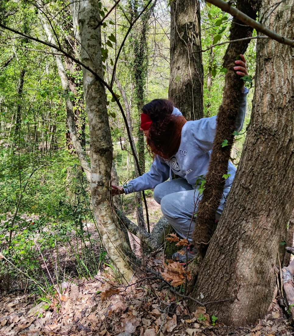 Forest Bathing in riserva