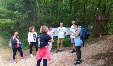 Forest Bathing in riserva