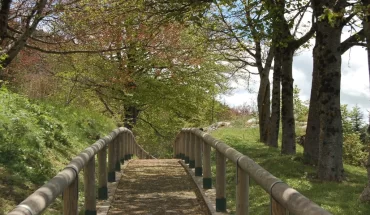 Garden of the Apennine Flora