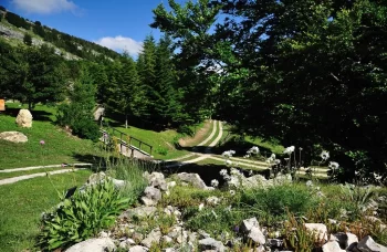 Garden of the Apennine Flora