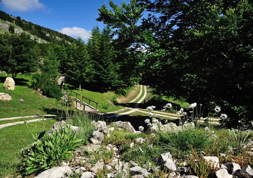 Garden of the Apennine Flora