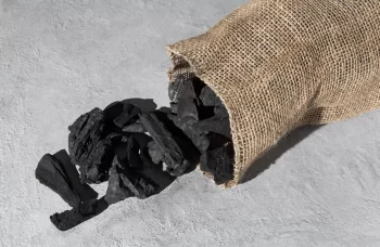 The Charcoal Burners of Busso: Life, Slow Tourism, and Passion Among Ancient Knowledge