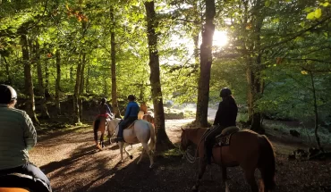 Horseback Riding
