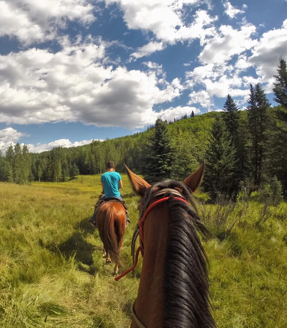 Horseback Riding