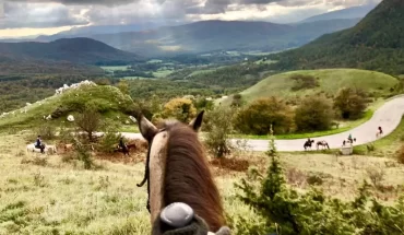 Horseback Riding