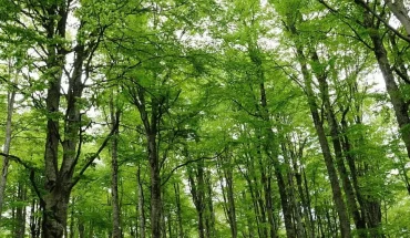 Collemeluccio-Montedimezzo MAB Nature Reserve