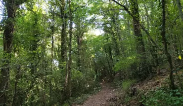 Regional Nature Reserve Bosco Casale – LIPU Oasis